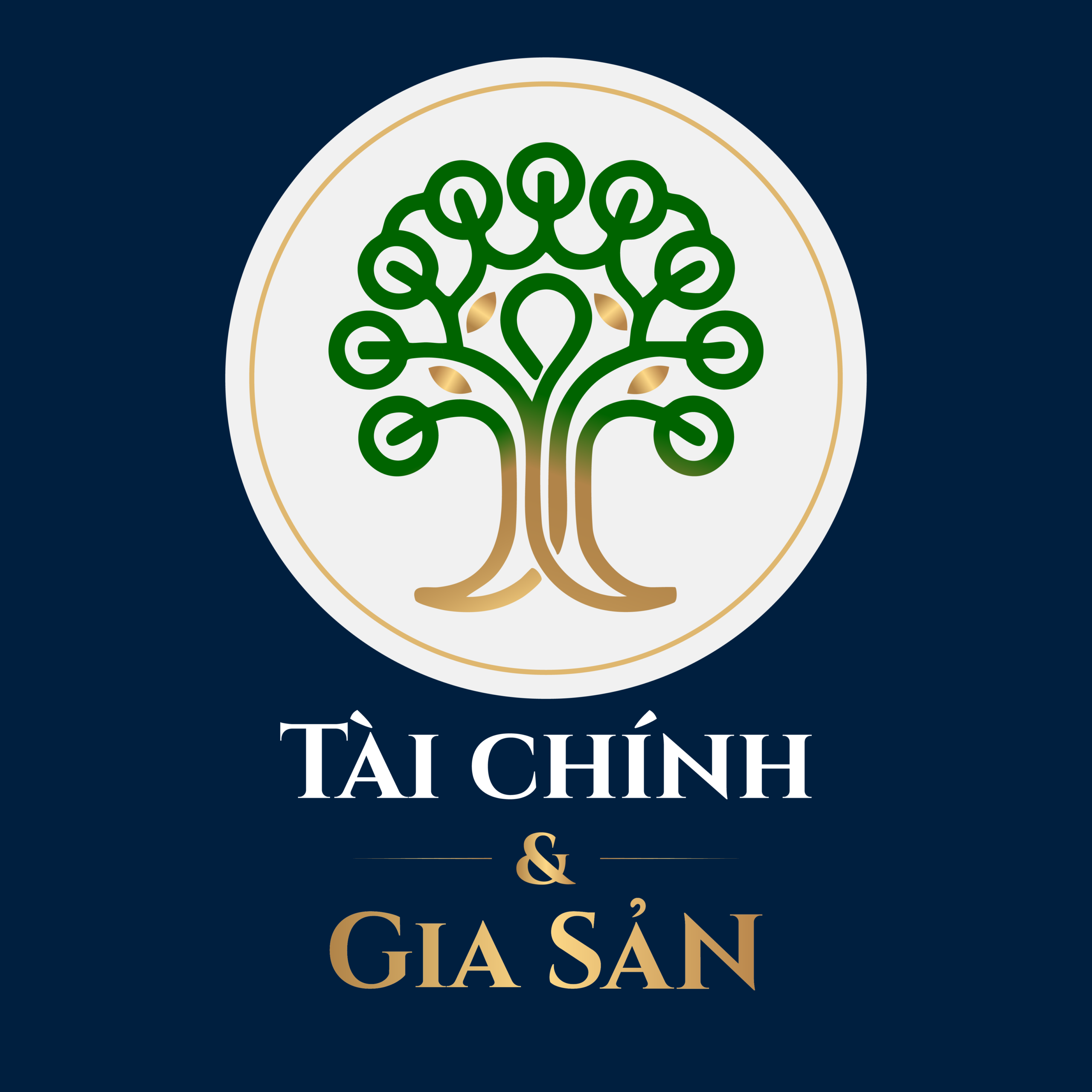 About Ava 1 Tai Chinh Gia San Scaled